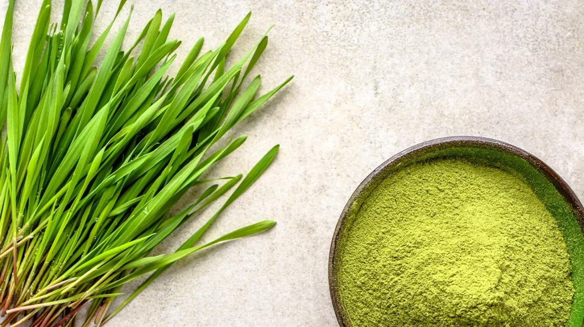 Barley Grass